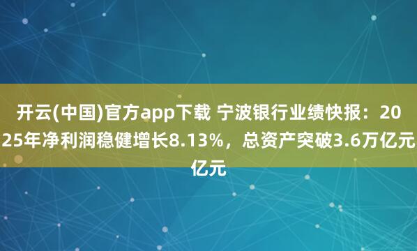 开云(中国)官方app下载 宁波银行业绩快报：2025年净利润稳健增长8.13%，总资产突破3.6万亿元