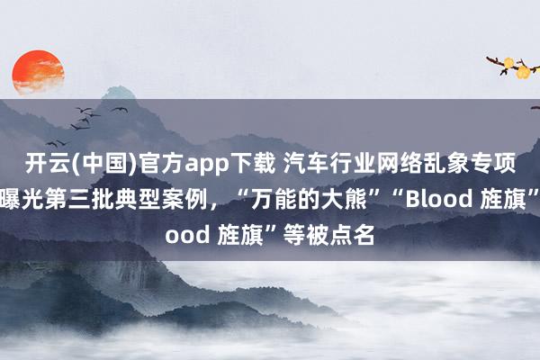 开云(中国)官方app下载 汽车行业网络乱象专项整治行动曝光第三批典型案例，“万能的大熊”“Blood 旌旗”等被点名